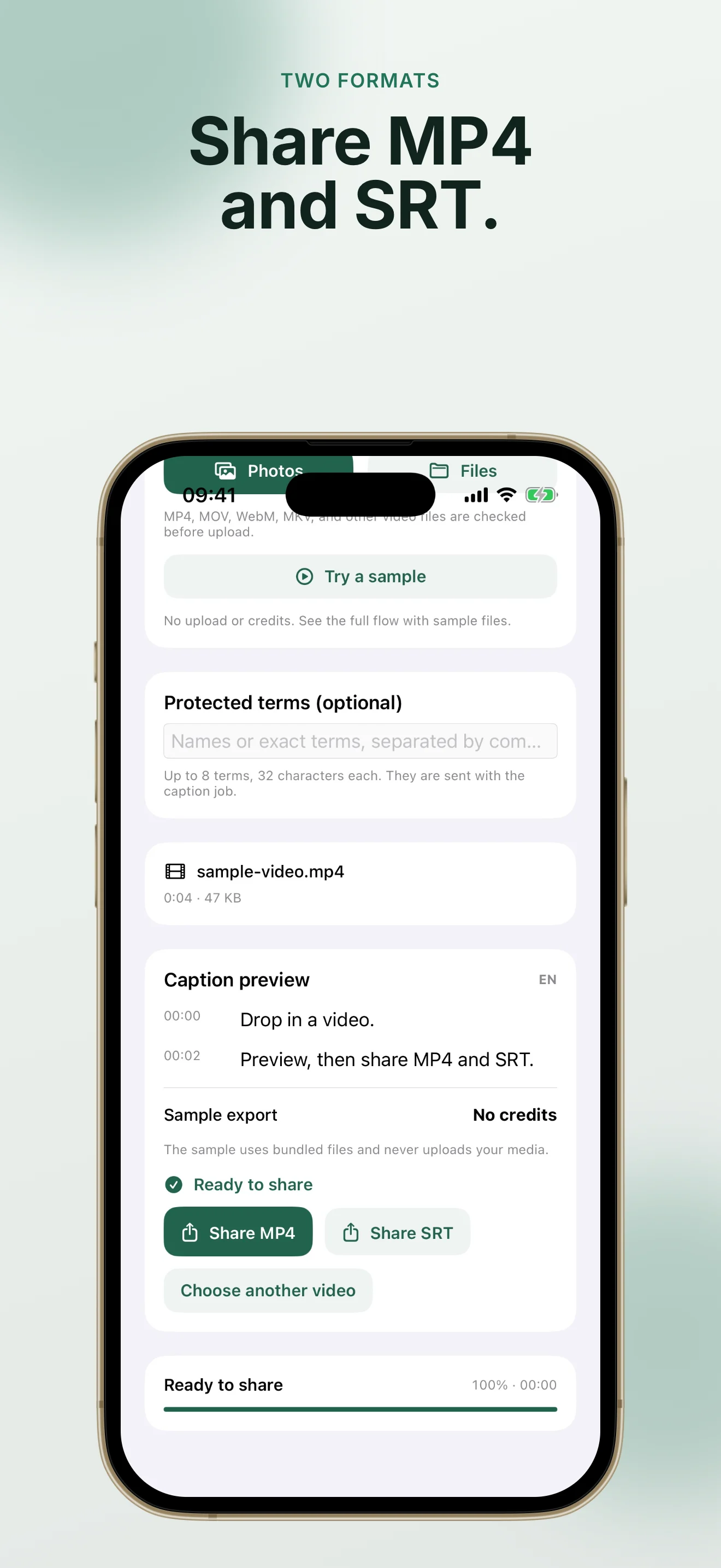 Kiku Captions ready state with Share MP4 and Share SRT actions